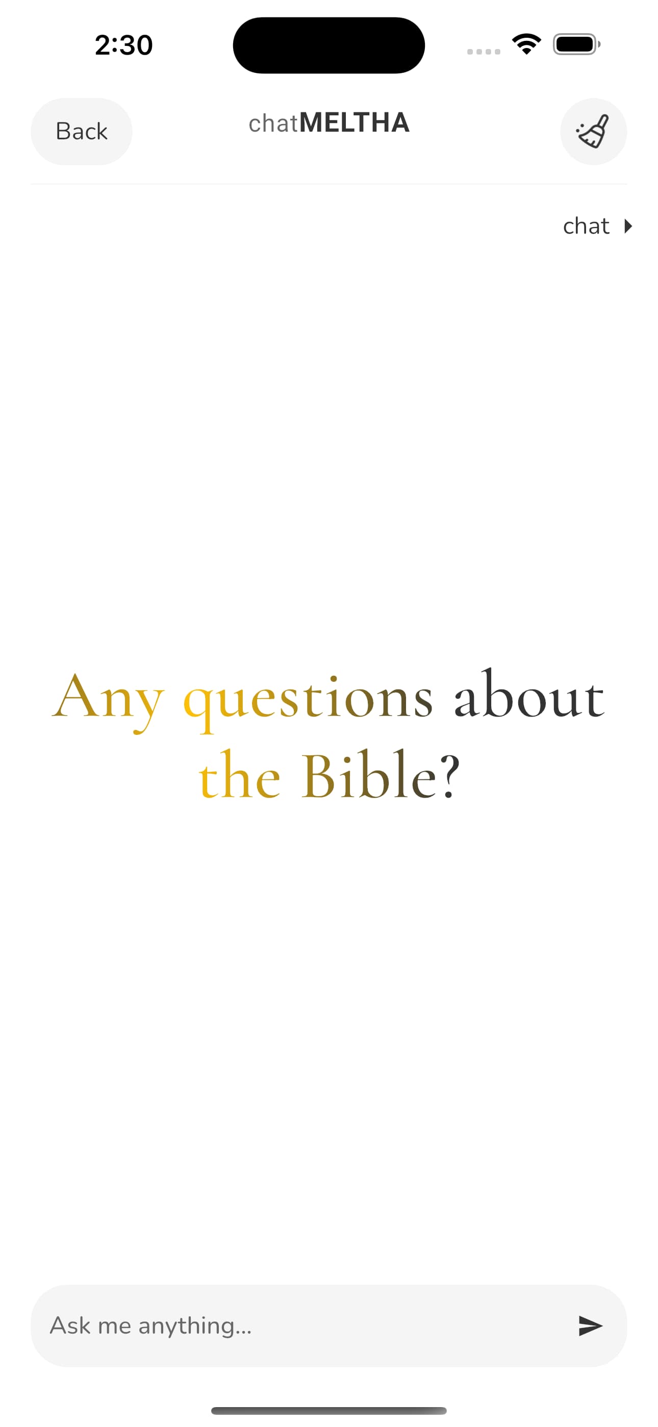 Chat Meltha Interface